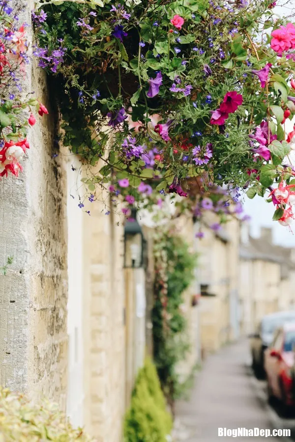 Những ngôi nhà tràn ngập sắc hoa mang vẻ đẹp cổ kính của châu Âu