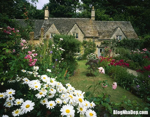 Những ngôi nhà tràn ngập sắc hoa mang vẻ đẹp cổ kính của châu Âu